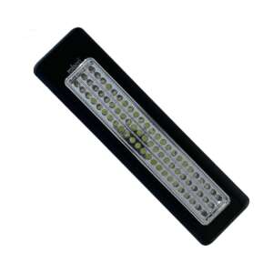 Magnetic Light
